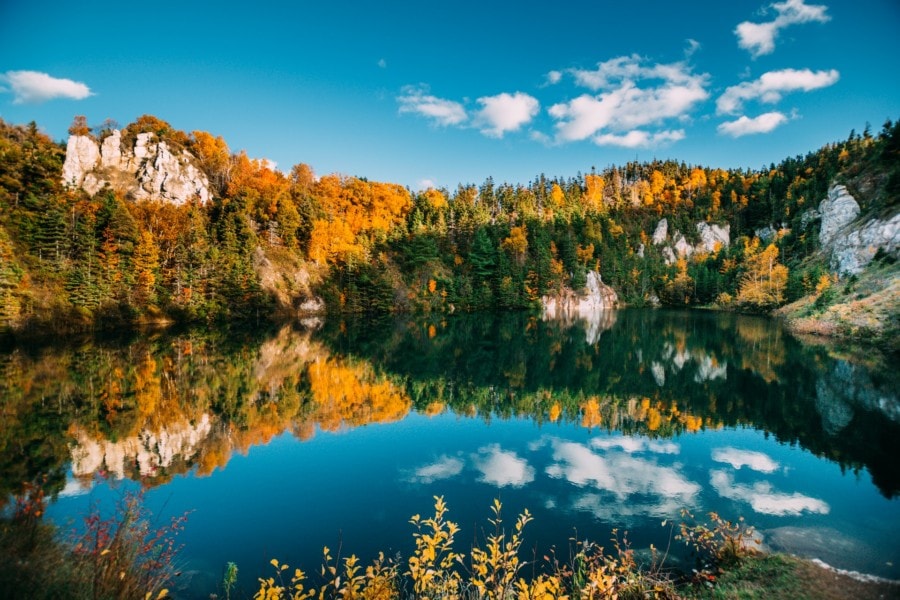 lake with golden trees around 
