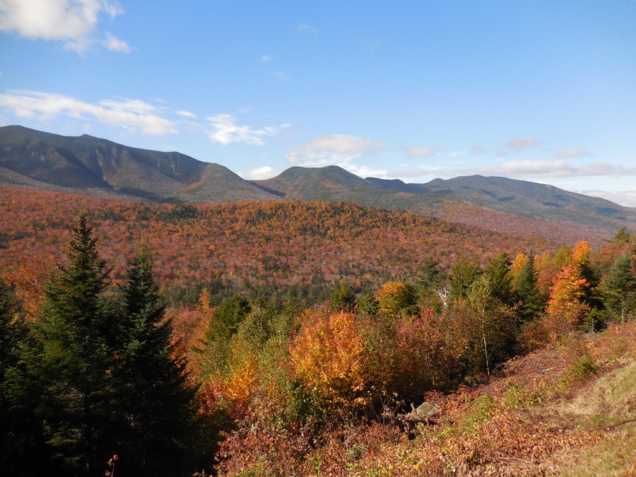 gold and orange mountains with blue sky is beautiful autumn destination in New England