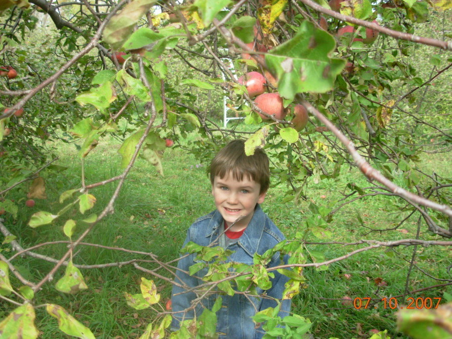 boy with jean jacket in apple trees
