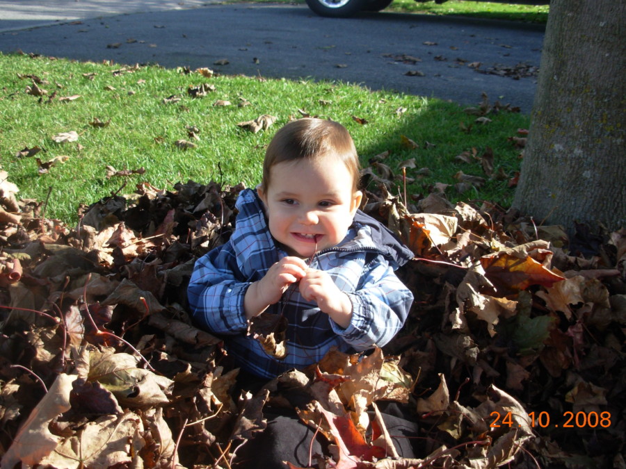 baby with blue jacket playing in red leaves