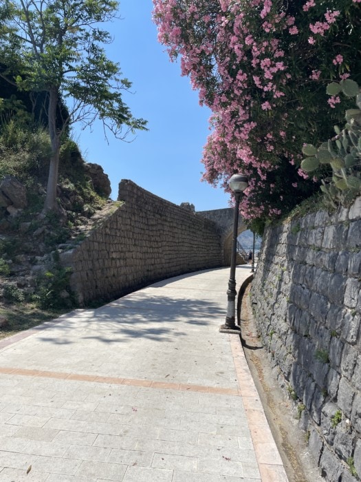 Danika walkway with pink flowers Herceg Novi during 10 days in Montenegro and Albania