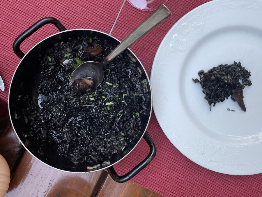 Squid ink risotto montenegro travel guide