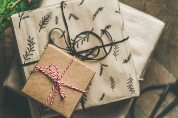 holiday travel gift guides