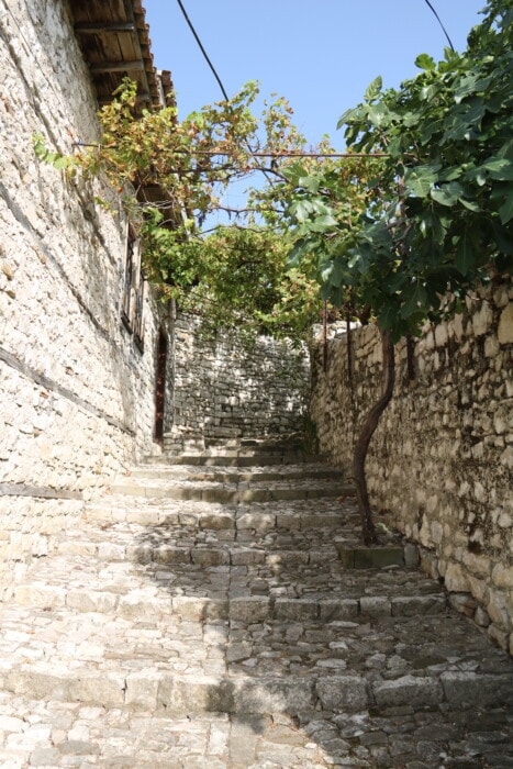  berat castle grounds stairs Albania Travel Itinerary