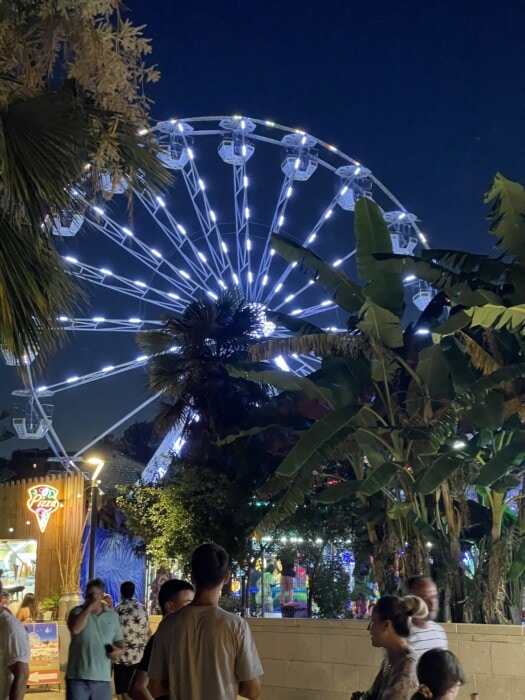  ferris wheel at night