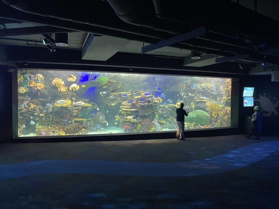 huge aquarium in toronto with man standing in front