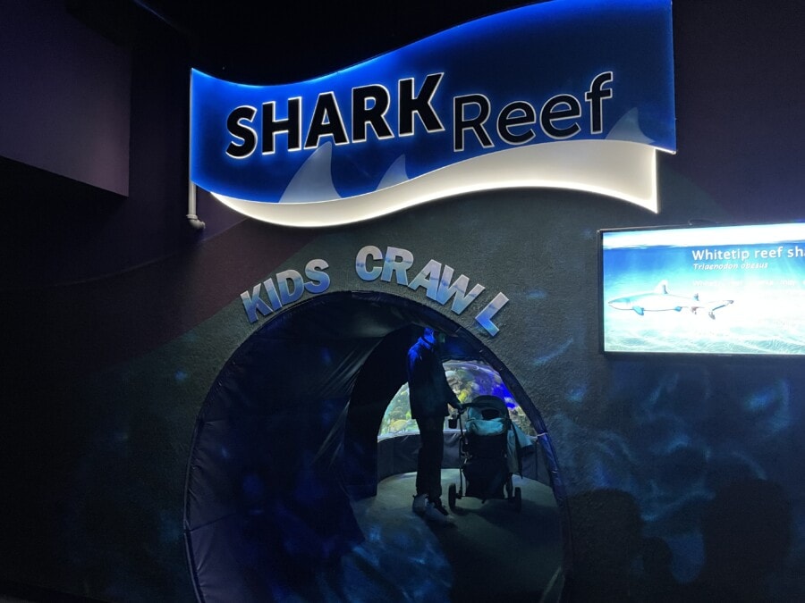 Sign saying Shark Reef where kids crawl in tube