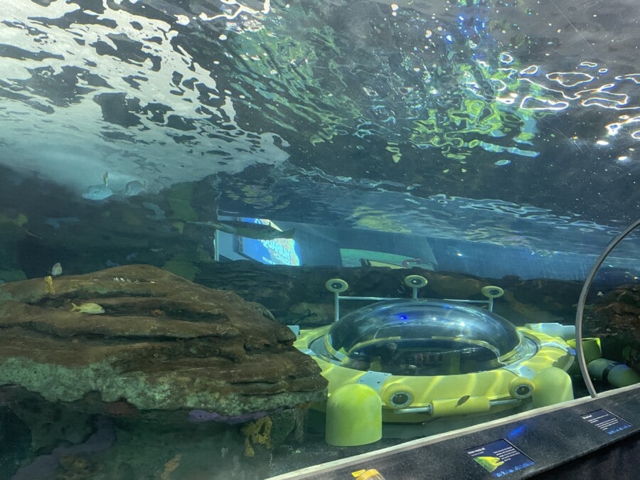 play area inside massive aquarium