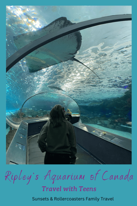 Everything you need to know for an amazing visit to Ripley's Aquarium of Canada in Toronto. #toronto #ripleysaquarium #travelwithkids #familytravel #travelwithteens #aquariums #torontotravel #ontariotravel #torontowithkids
.