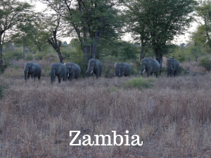 Travel to Zambia
